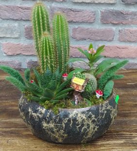 karasu çiçekçilik saksı aranjman