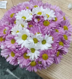 karasu çiçekçilik papatya aranjman