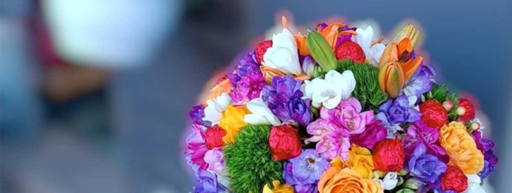 karasu çiçekçilik 19 mayıs atatürk gençlik