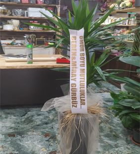 karasu çiçekçilik düğün hediyesi