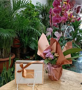 karasu çiçekçilik çikolata saksı