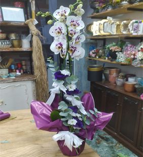 karasu çiçekçi davet orkide