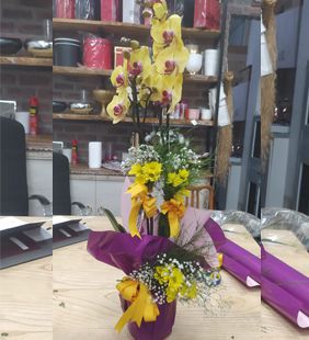 karasu çiçekçi sarı orkide